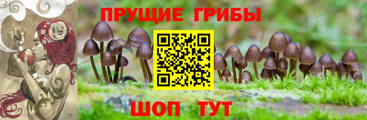 Псилоцибиновые грибы ЛСД Орехово-Зуево